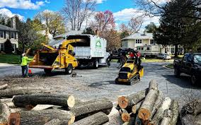 Best Tree Mulching  in Weston, NJ